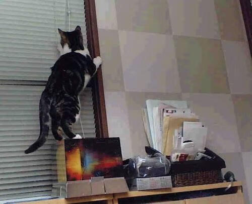 【心理战】顶尖运动员如何应对比赛压力?,运动员压力大怎么办