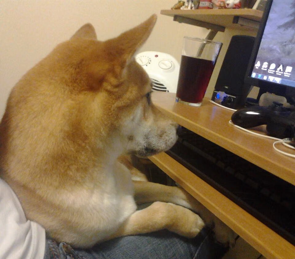 AYX体育官网-中国足球技术水平不断提高，比赛竞技性增强，中国足球如何才能提高