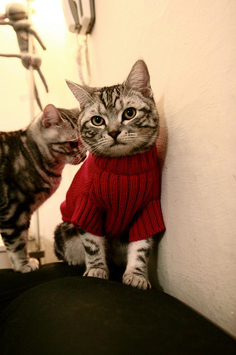 TES发布赛季体能恢复技术白皮书，tes训练赛