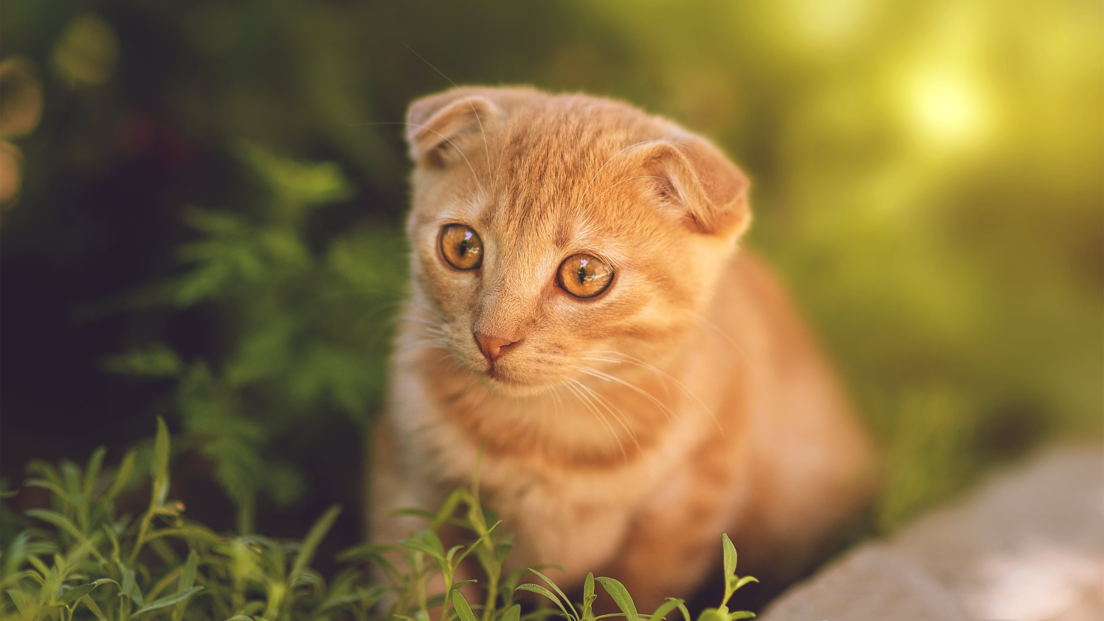 俄罗斯篮球赛事即将迎来第二轮激烈争夺,俄罗斯篮球赛事即将迎来第二轮激烈争夺世界杯