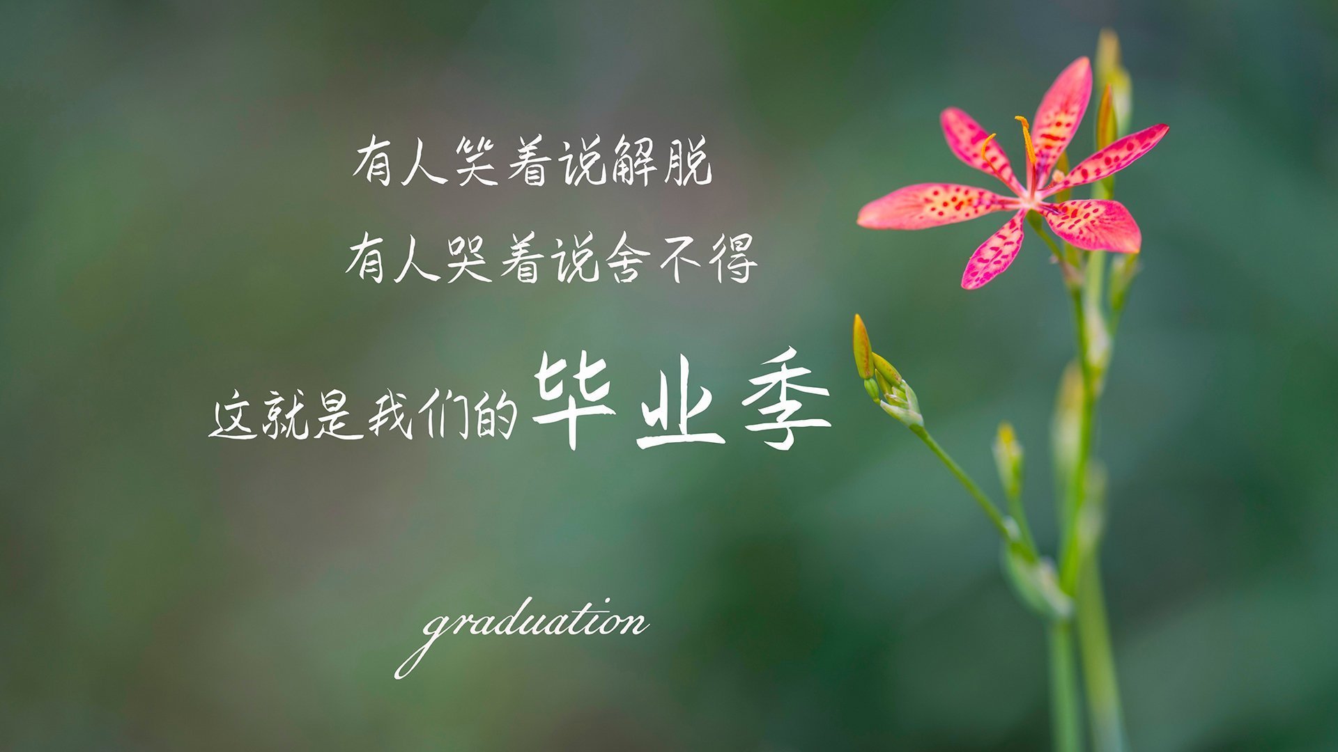 爱游戏 电竞-印度赢得2024年T20世界杯冠军，击败南非，印度进世界杯