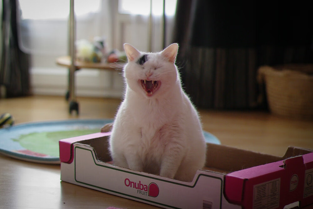 爱游戏体育官方网站-女足联赛激战正酣，竞争激烈，女足比赛现场