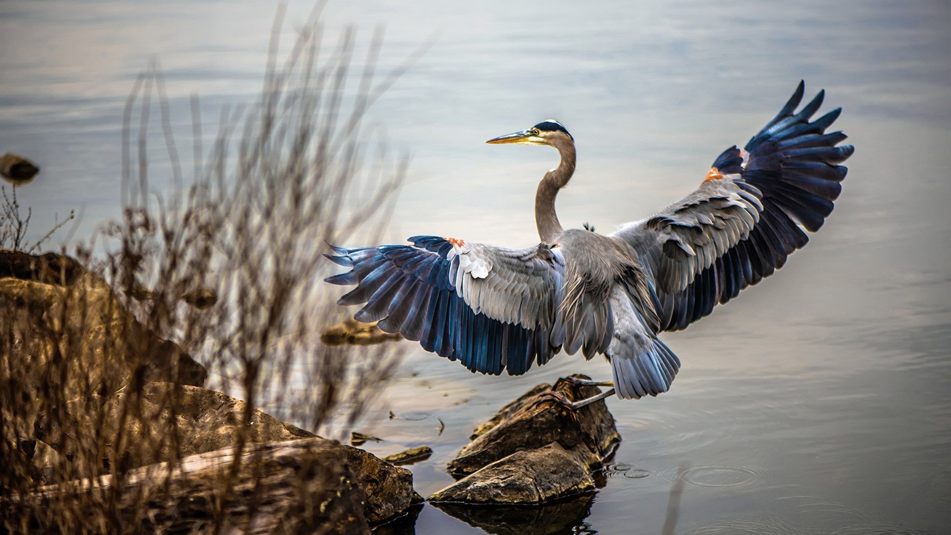 女足联赛竞争激烈,冠军悬念持续,女足联赛介绍