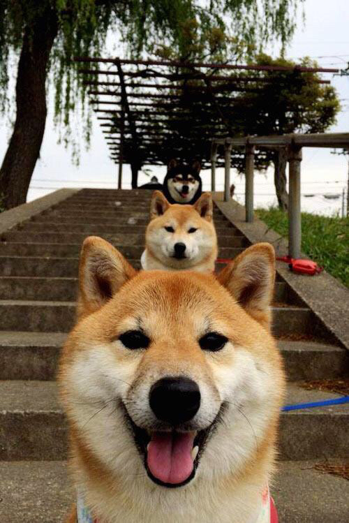 电竞战队财务管理体系构建及盈利模式多样化探索，电竞战队管理制度