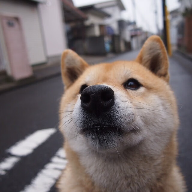精彩比赛吸引大批观众关注,赛事声势浩大,比赛现场精彩纷呈