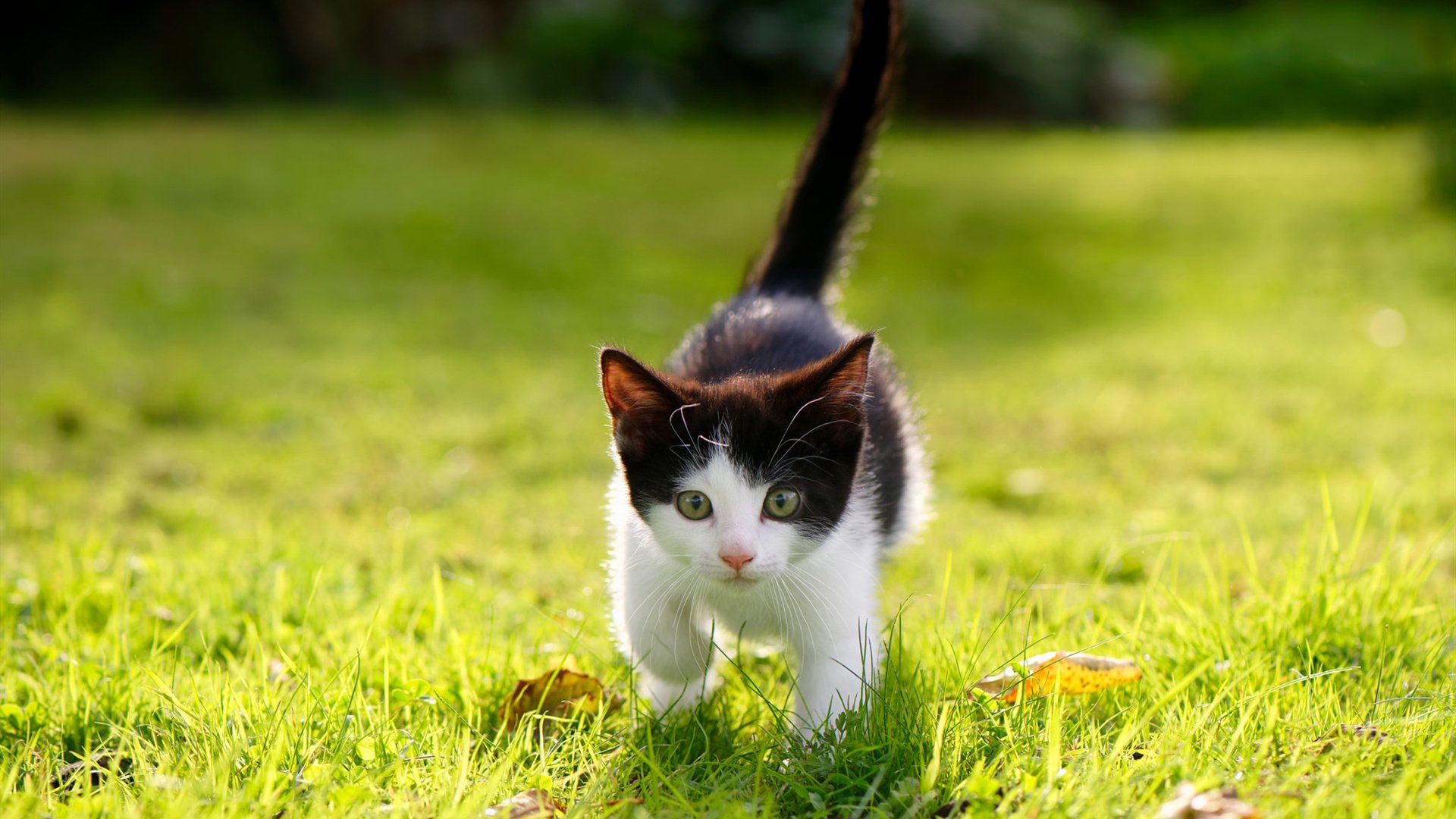 爱游戏体育（AYX）官方APP下载-逆风翻盘：顶级球队如何在危机中重新崛起？，逆风翻盘 口号