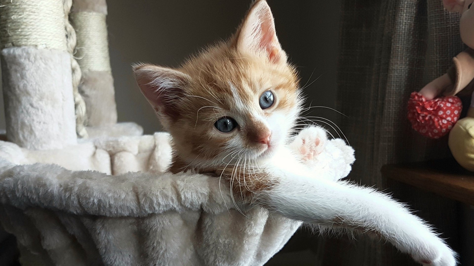 “高新体育中心：沙滩排球赛事燃起热潮，选手拼劲力”