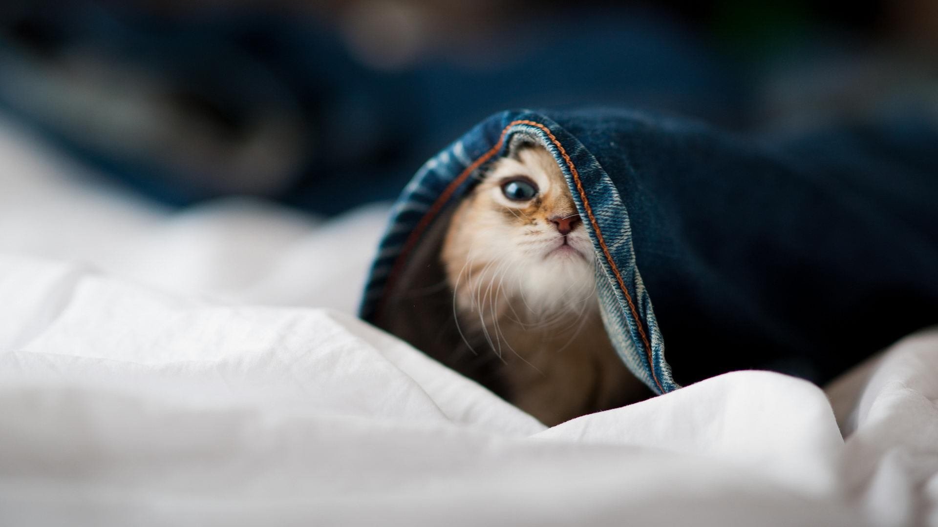 爱游戏体育APP下载-南特灵活排兵布阵取得意外之喜，南特在哪