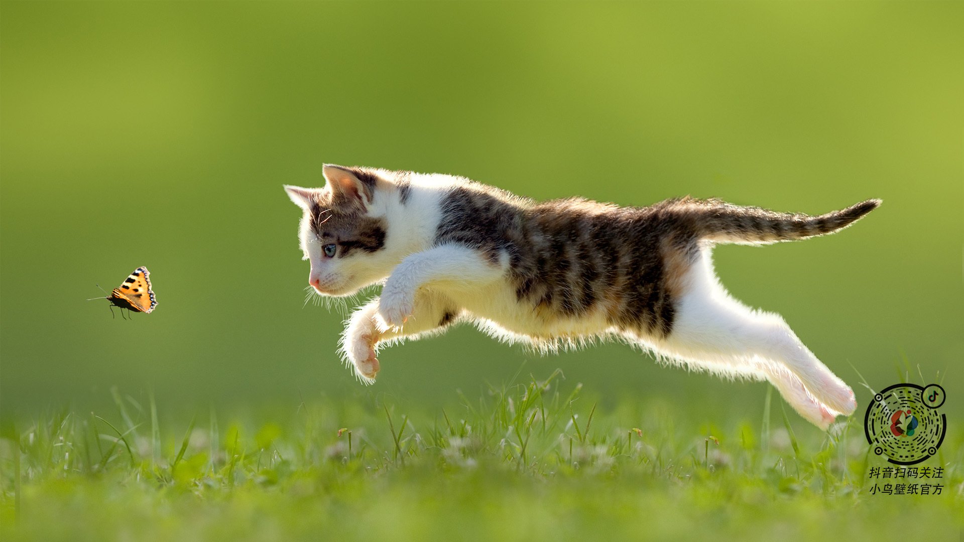 AIYOUXI.COM-吴前控场能力提升浙江队表现稳健，浙江队吴前伤势怎么样