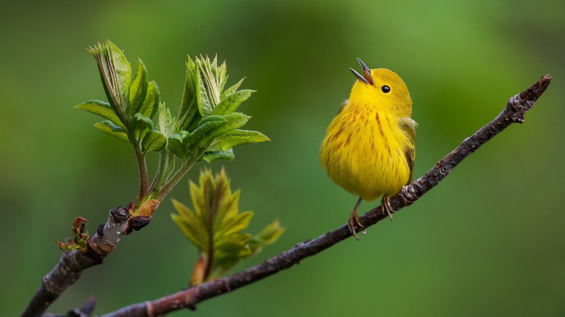 AYX体育官网-国际乒联发布最新排名，排名变化大，国际乒联排名完整榜单