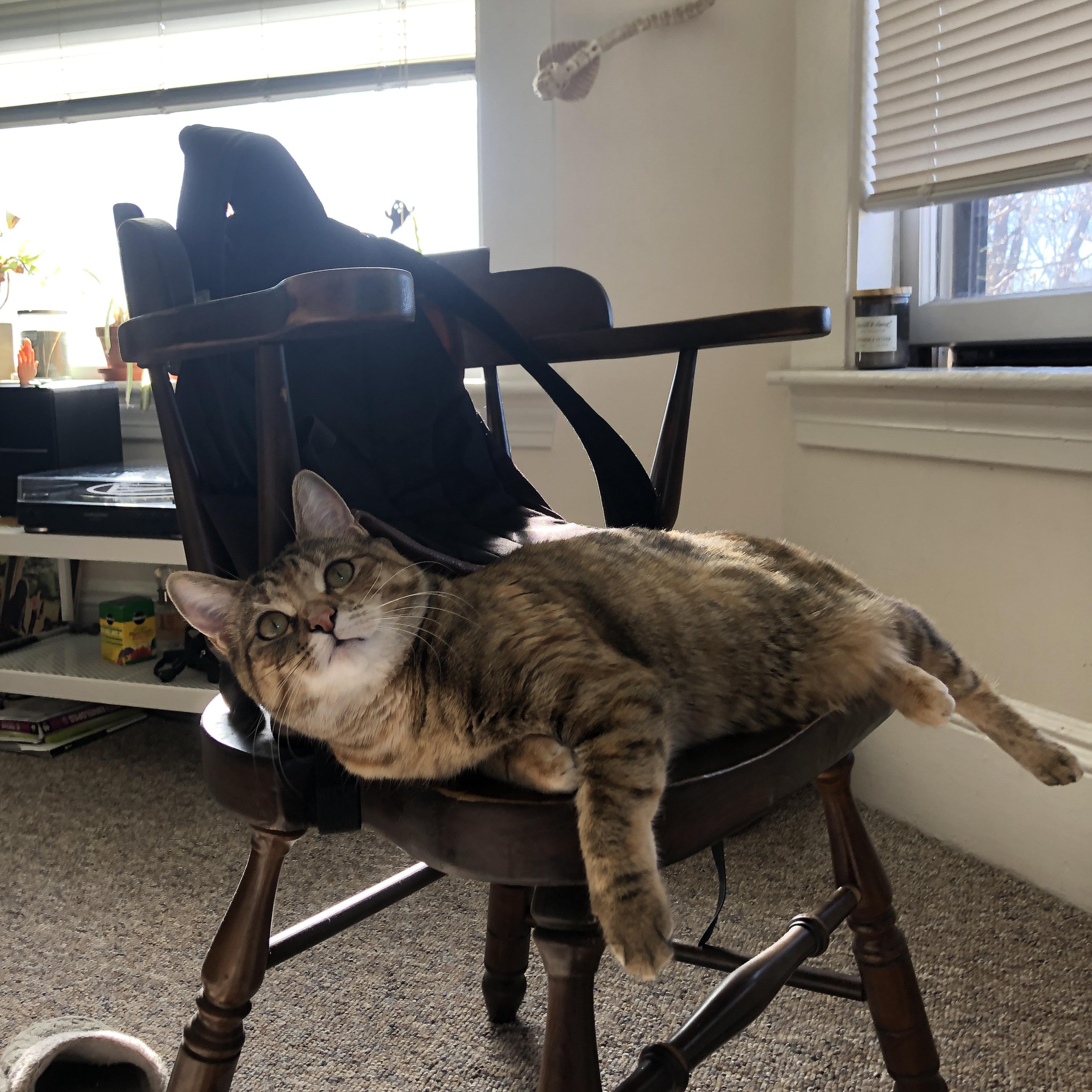 小因扎利奇新秀 Dalil Hadi 拓展海外发展空间,小因扎吉的战术安排