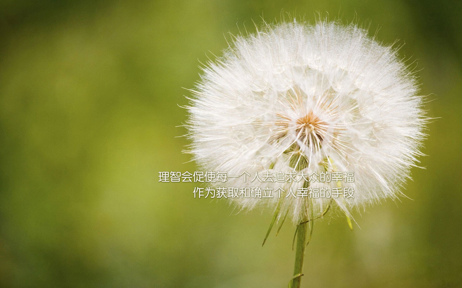 爱游戏体育官方网站-教练组引入外籍专家优化体系结构，国家队外籍教练