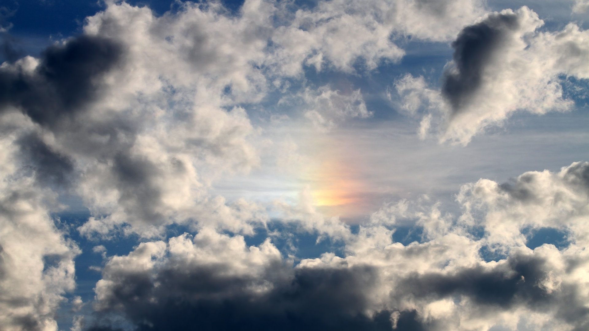 浙江雄狮高效进攻策略获得联赛认可,浙江雄狮服务队