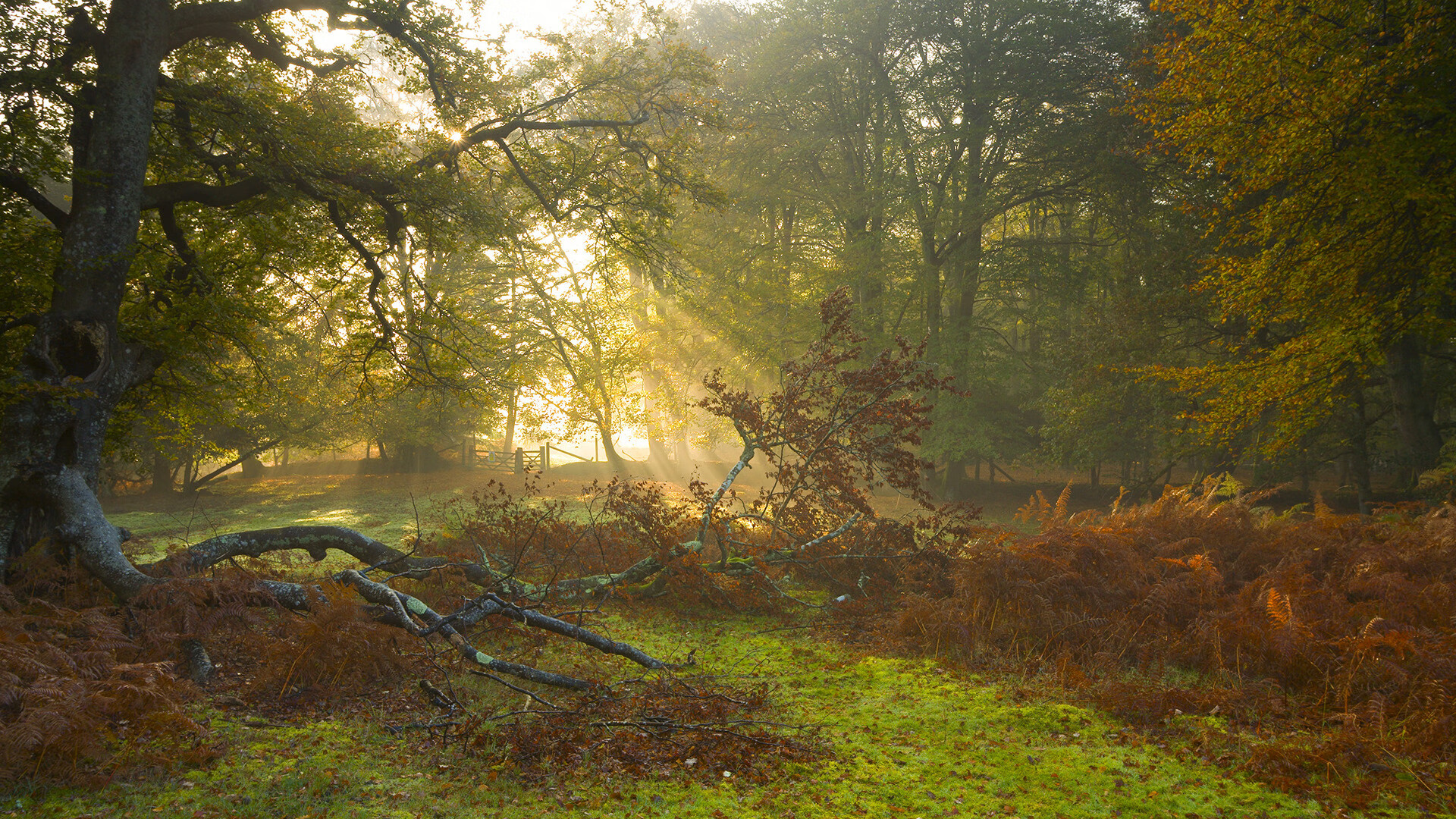 女子联赛注重节奏控制提升整体比赛流畅度，女子技巧比赛