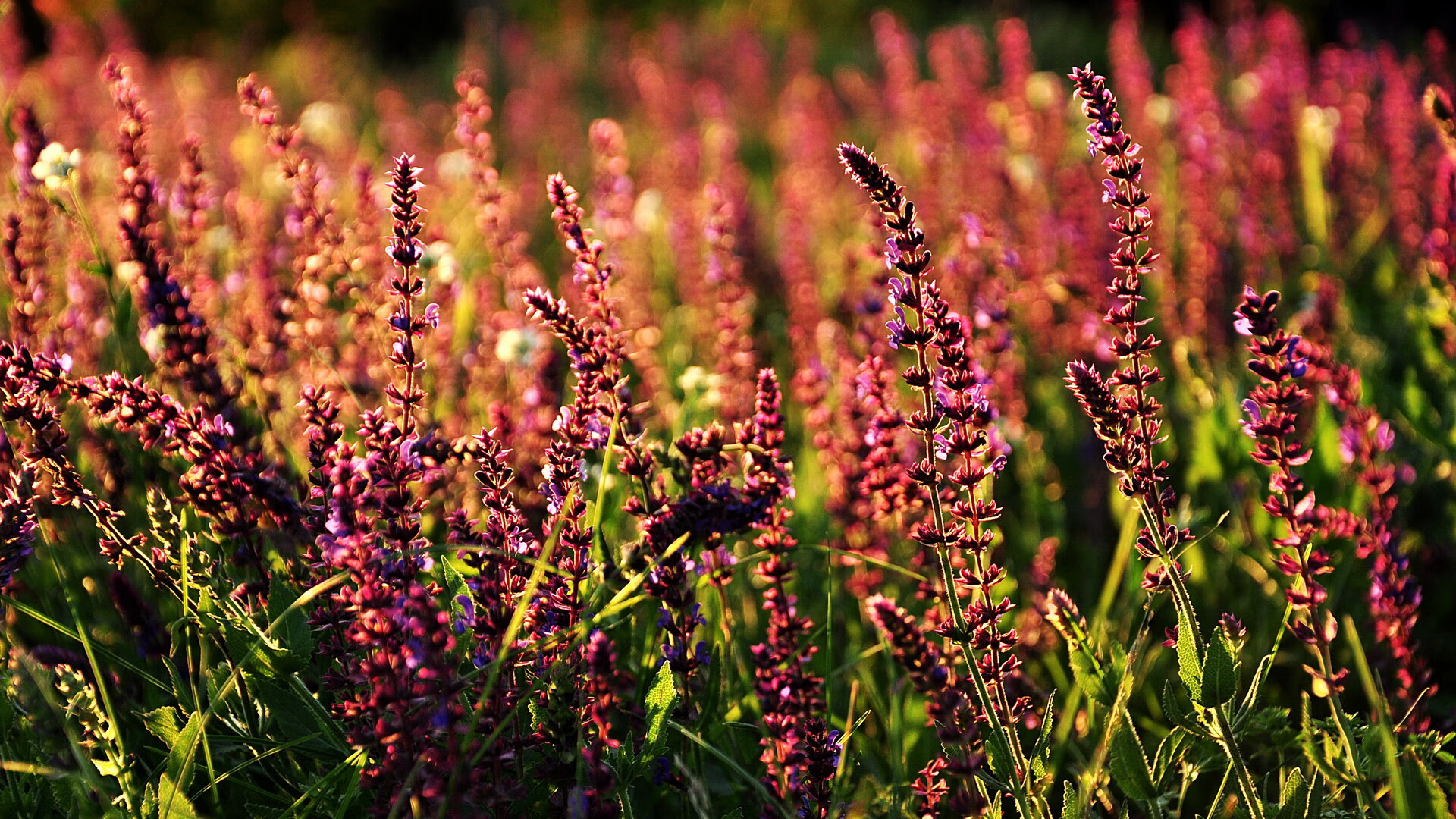 技术雷达图显示动作标准化趋势，雷达图像目标识别