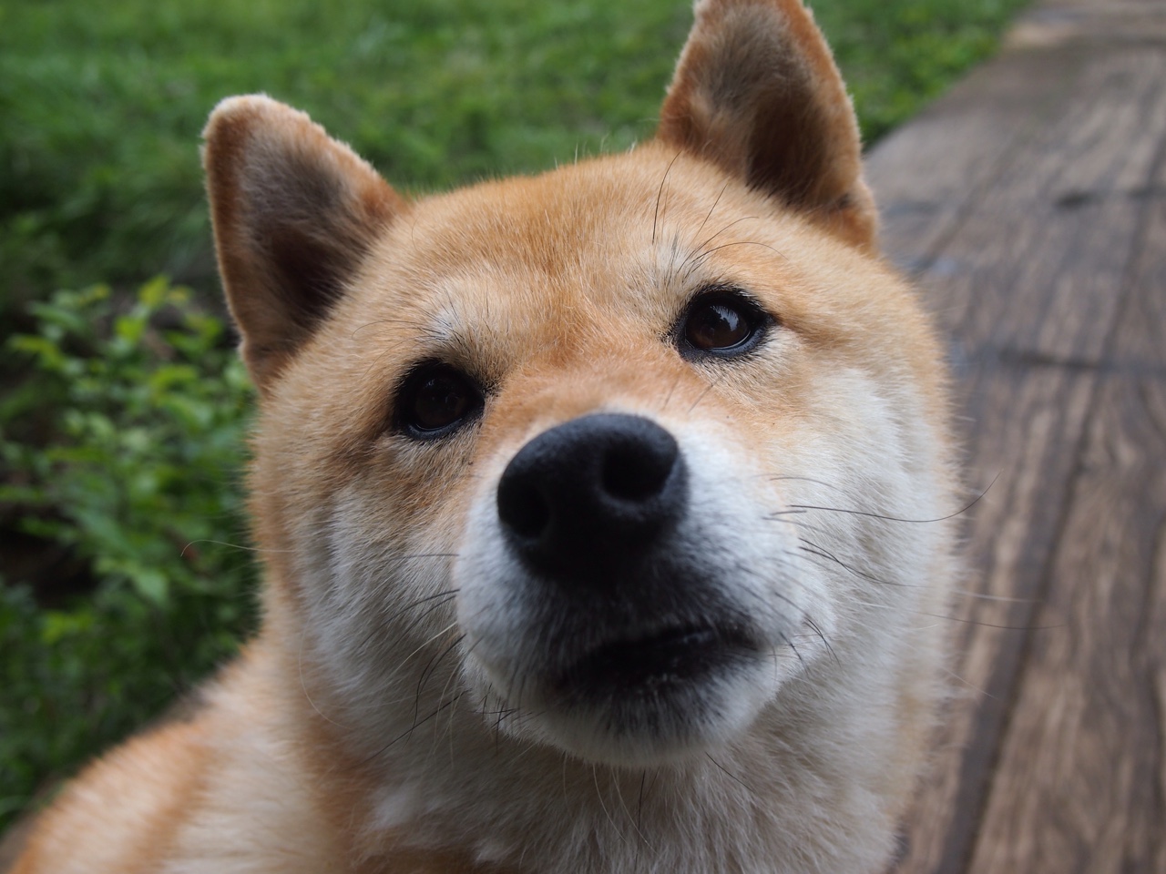 男子国家队增加专项体能训练提高耐力和爆发力,男子国家队名单