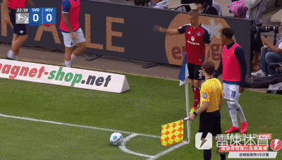 包含爱游戏体育：德甲达姆施塔特的转会策略与球队重建的词条